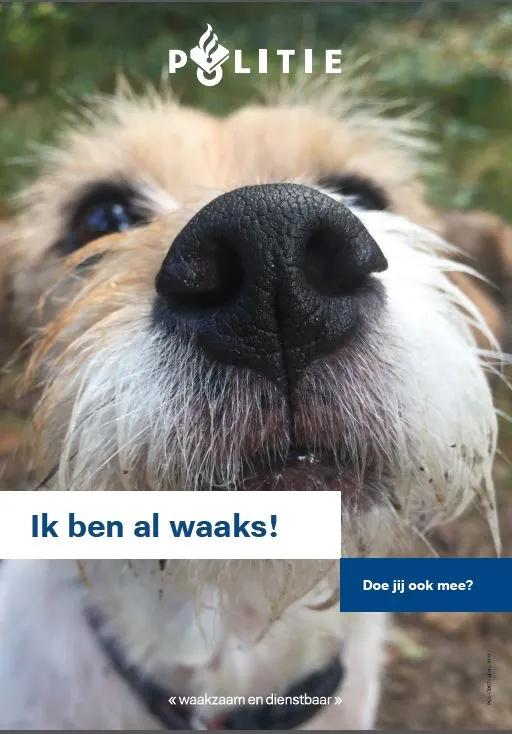 Waaks Afbeelding oplettende wandelaar (9)