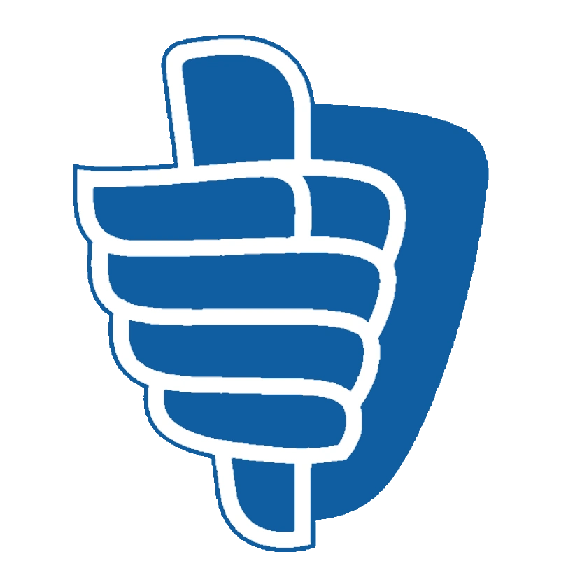 Regionaal Nieuws Boa Logo
