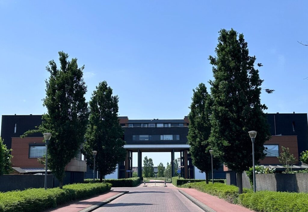 lg1